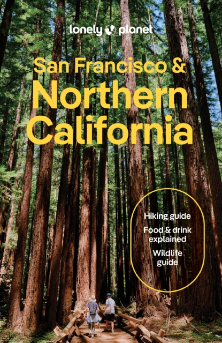 Kniha Lonely Planet San Francisco & Northern California