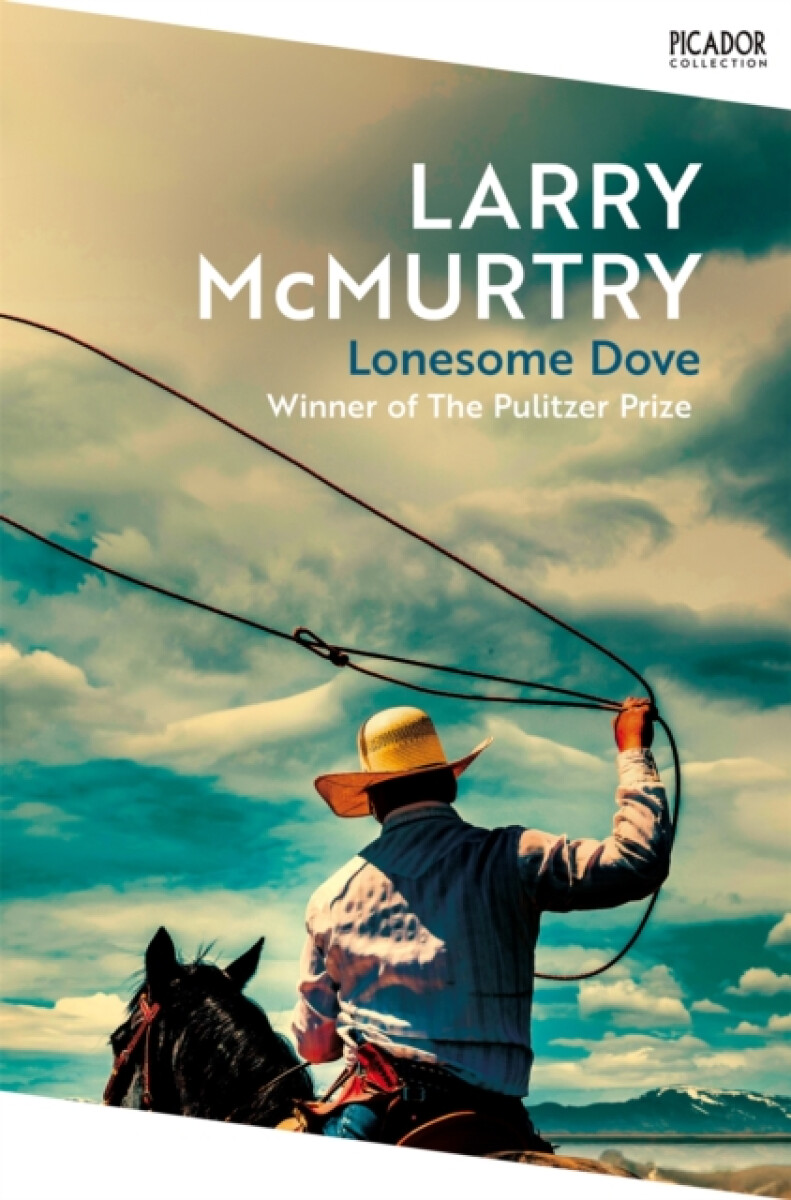 Kniha Lonesome Dove