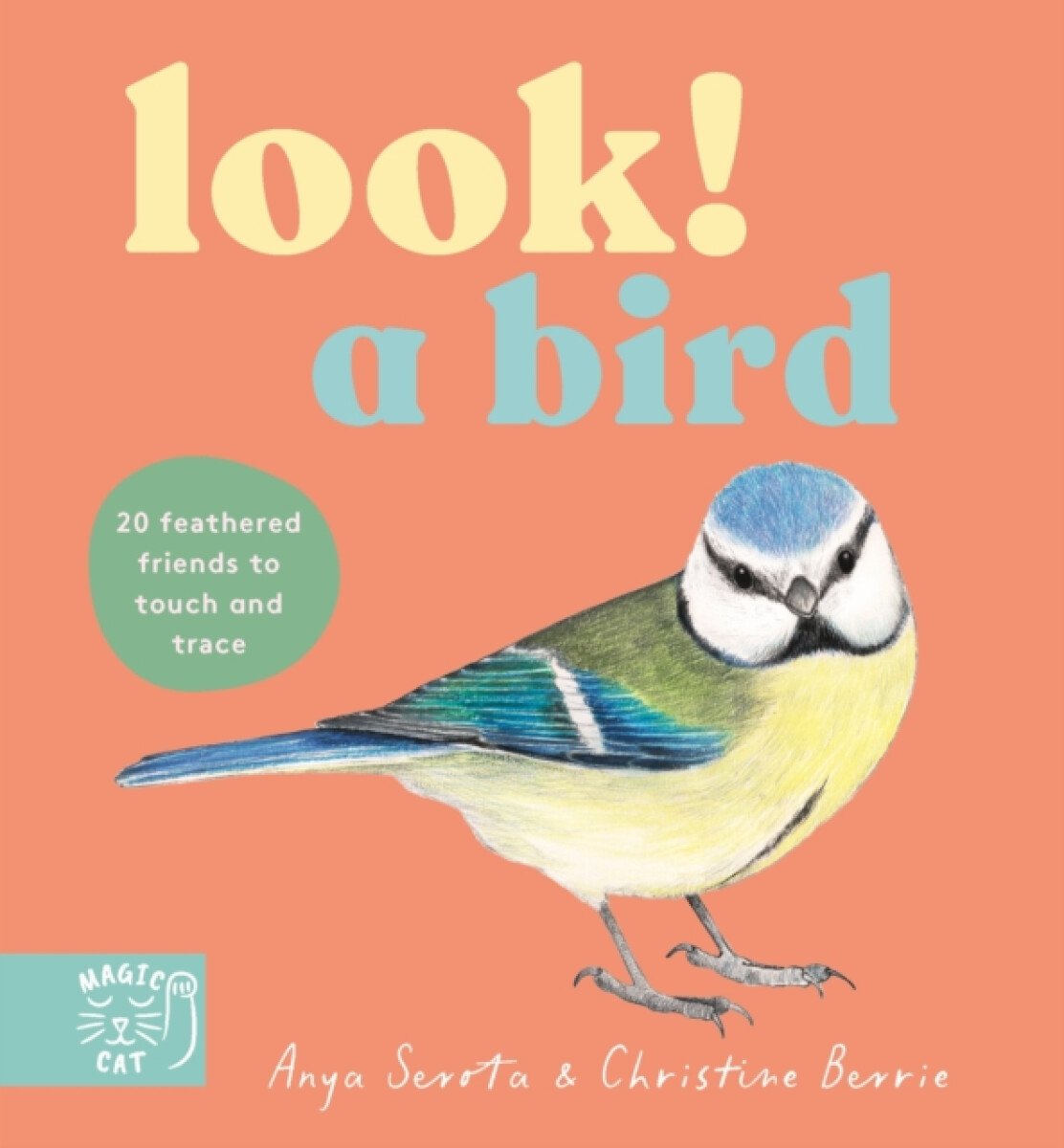 Kniha Look! A Bird!