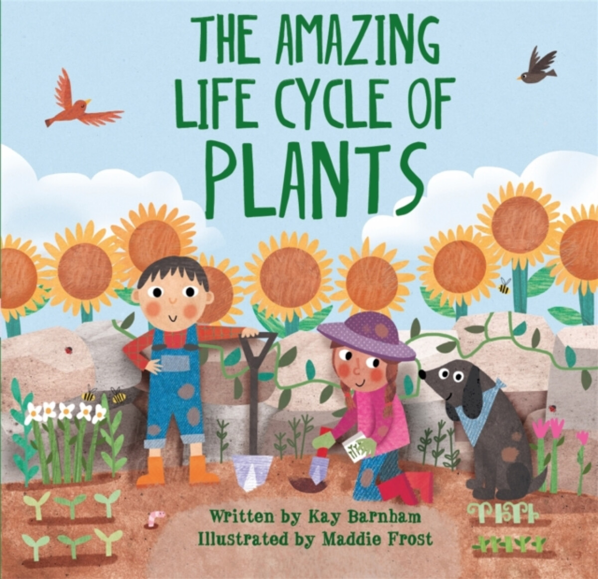 Kniha Look and Wonder: The Amazing Plant Life Cycle Story