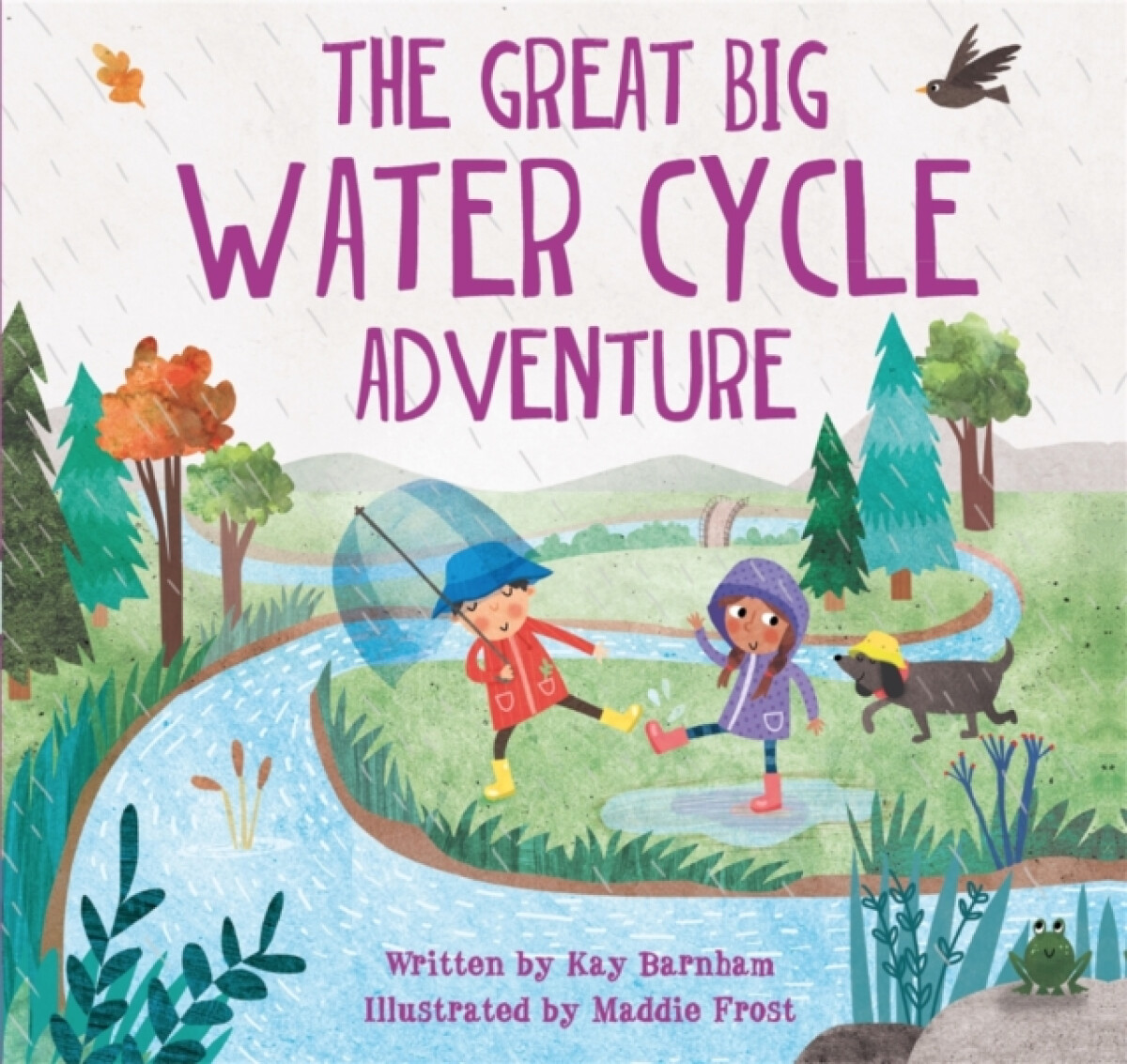 Kniha Look and Wonder: The Great Big Water Cycle Adventure