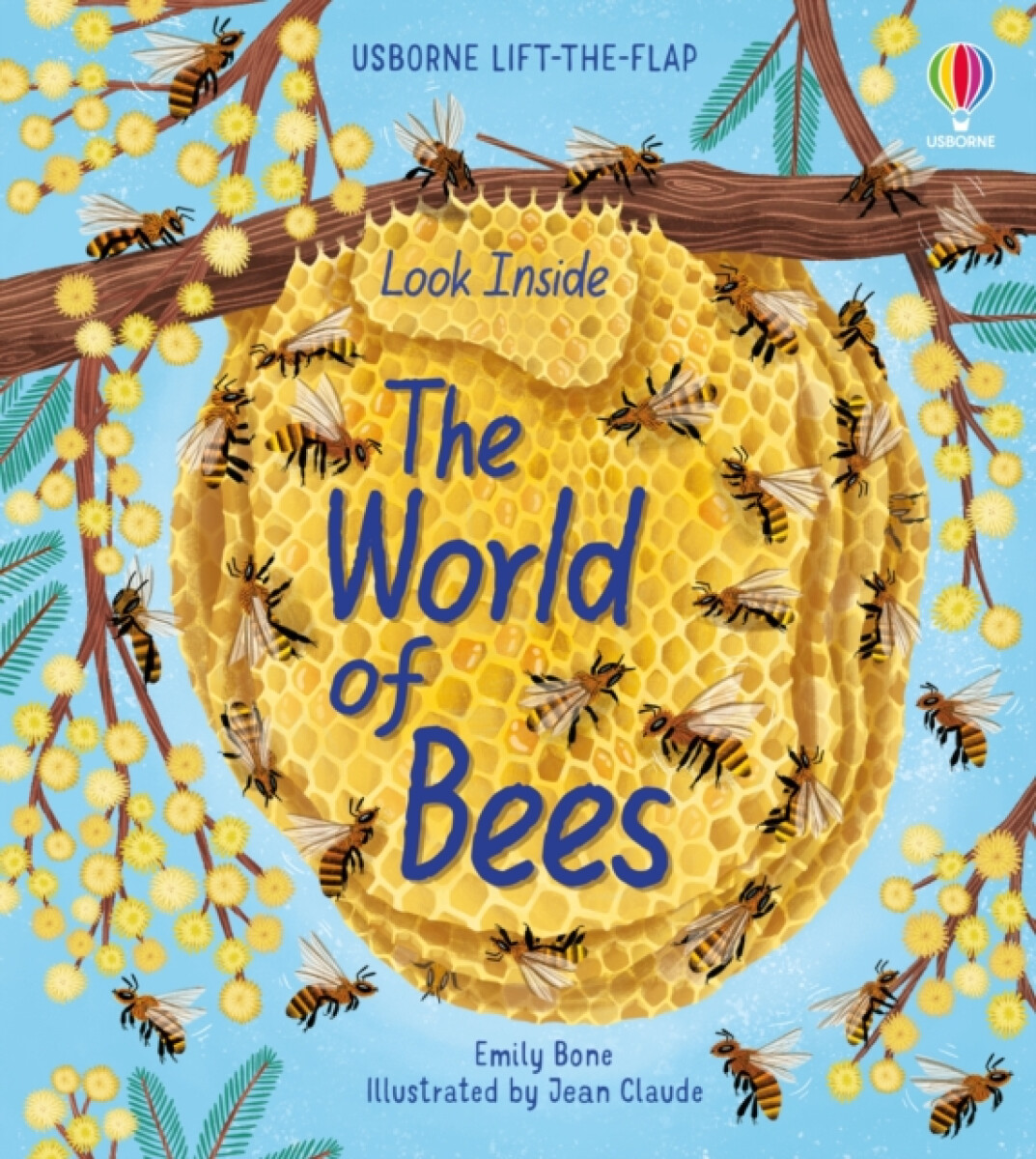Kniha Look Inside The World of Bees