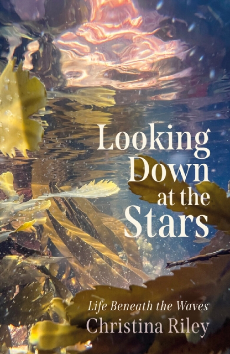 Levně Looking Down at the Stars - Christina Riley