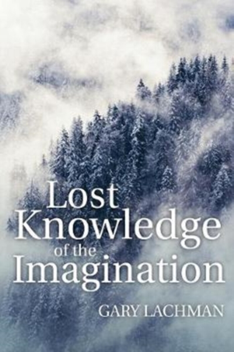 Kniha Lost Knowledge of the Imagination