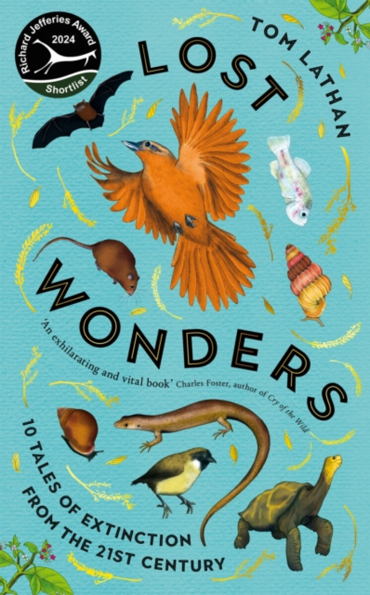 Lost Wonders – Tom Lathan