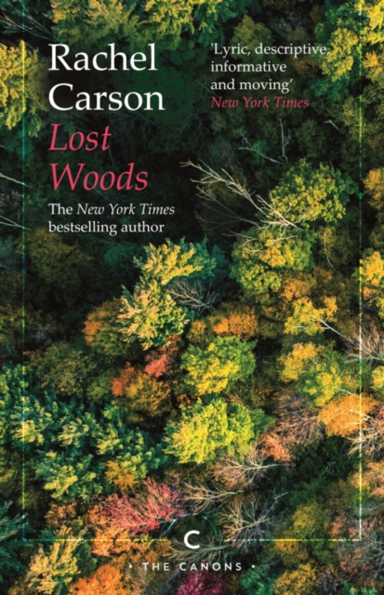 Kniha Lost Woods