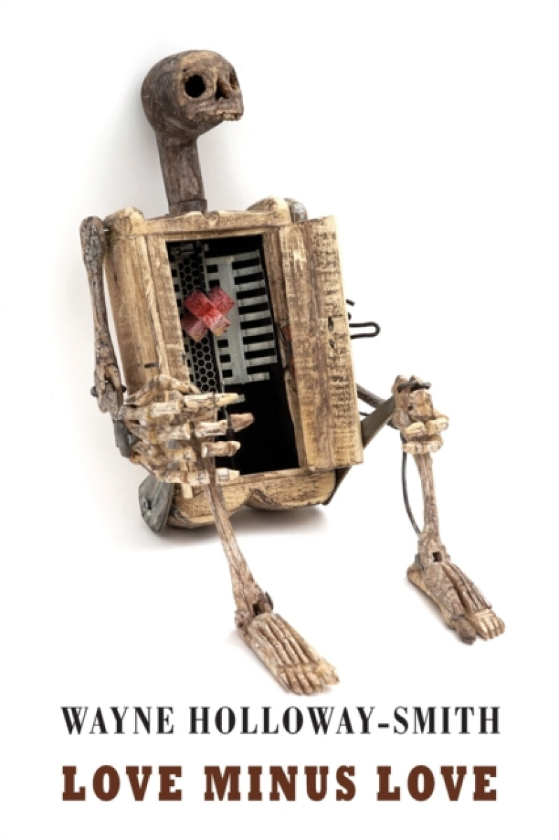 Kniha Love Minus Love