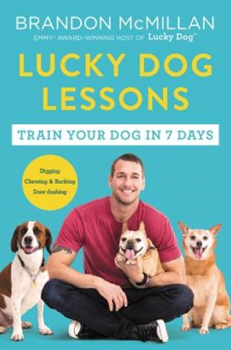 Kniha Lucky Dog Lessons