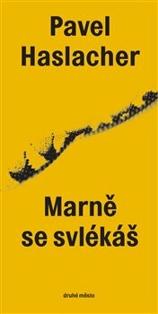 Kniha Marně se svlékáš