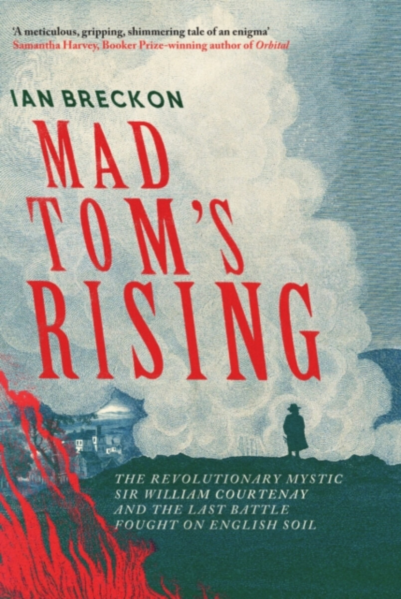 Kniha Mad Tom's Rising