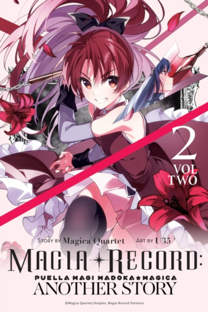 Kniha Magia Record: Puella Magi Madoka Magica Another Story, Vol. 2