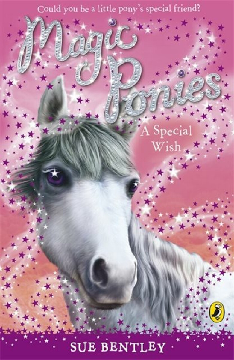 Kniha Magic Ponies: A Special Wish