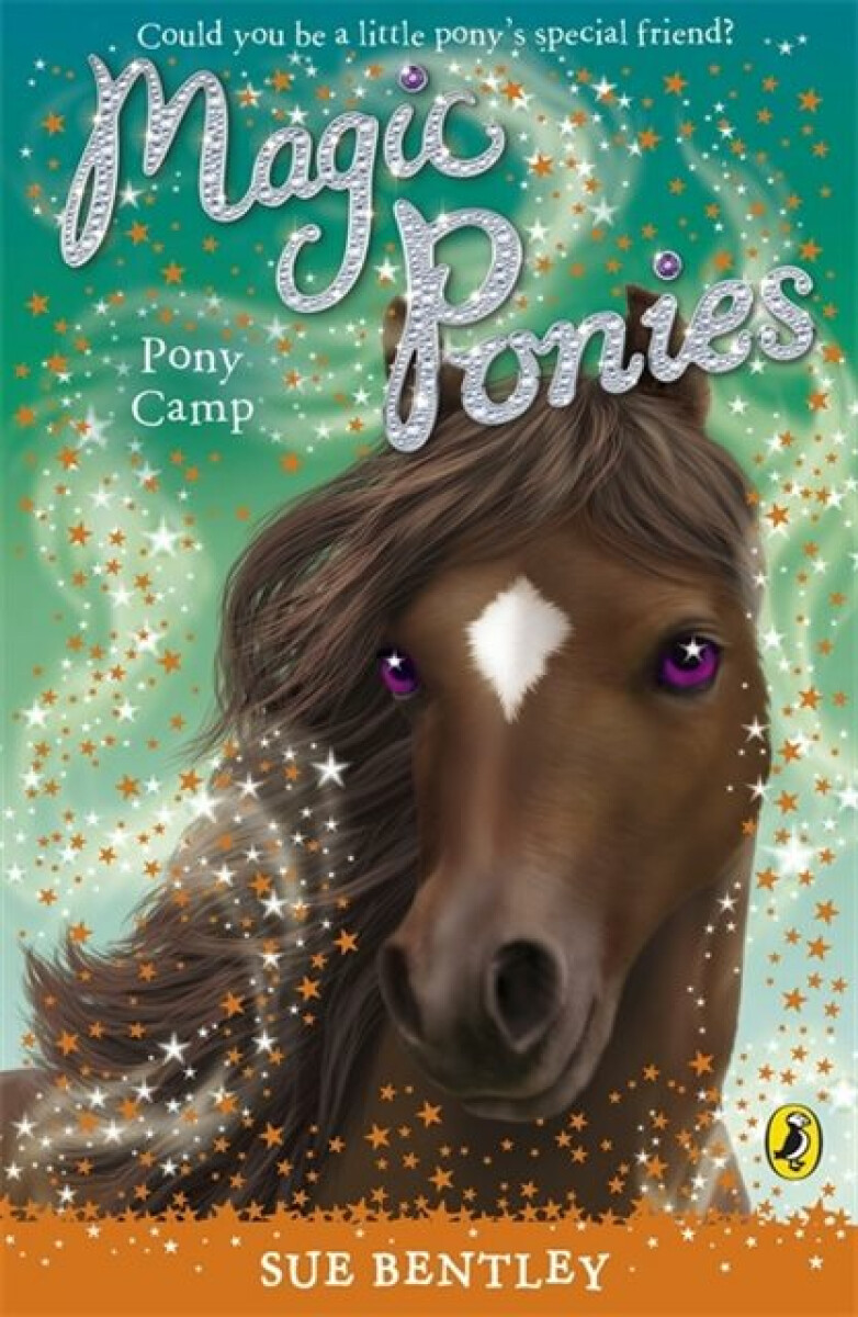 Kniha Magic Ponies: Pony Camp
