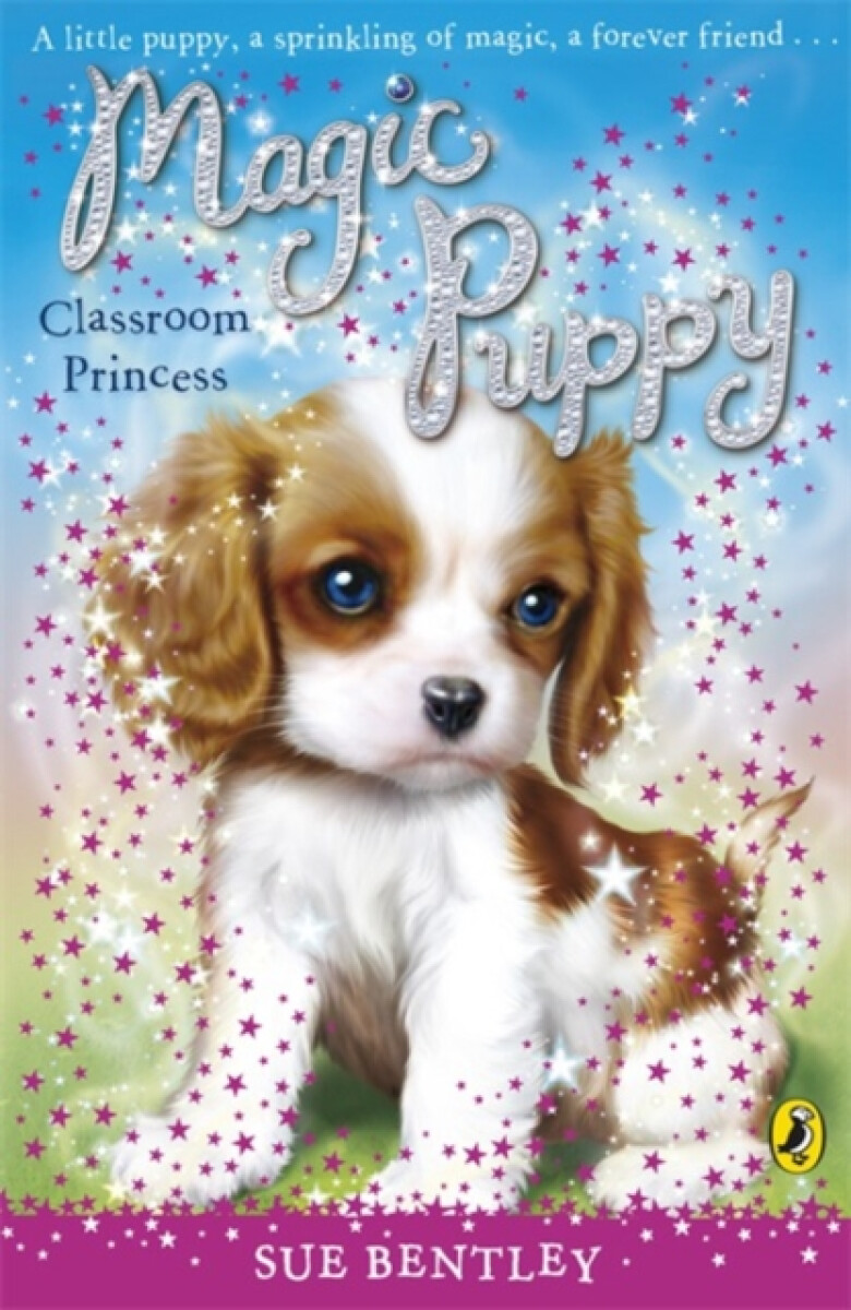 Kniha Magic Puppy: Classroom Princess