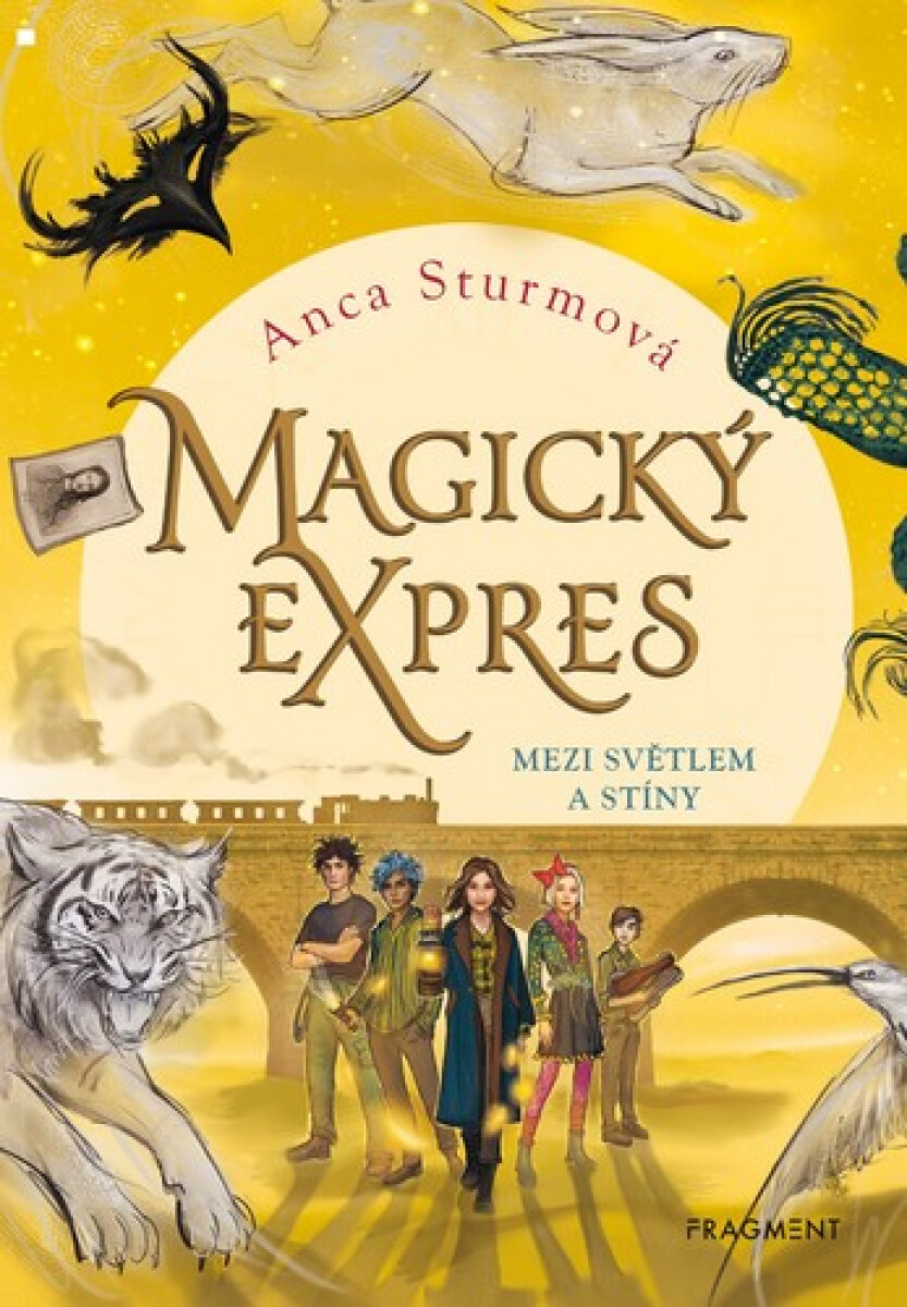 Kniha Magický expres - Mezi světlem a stíny