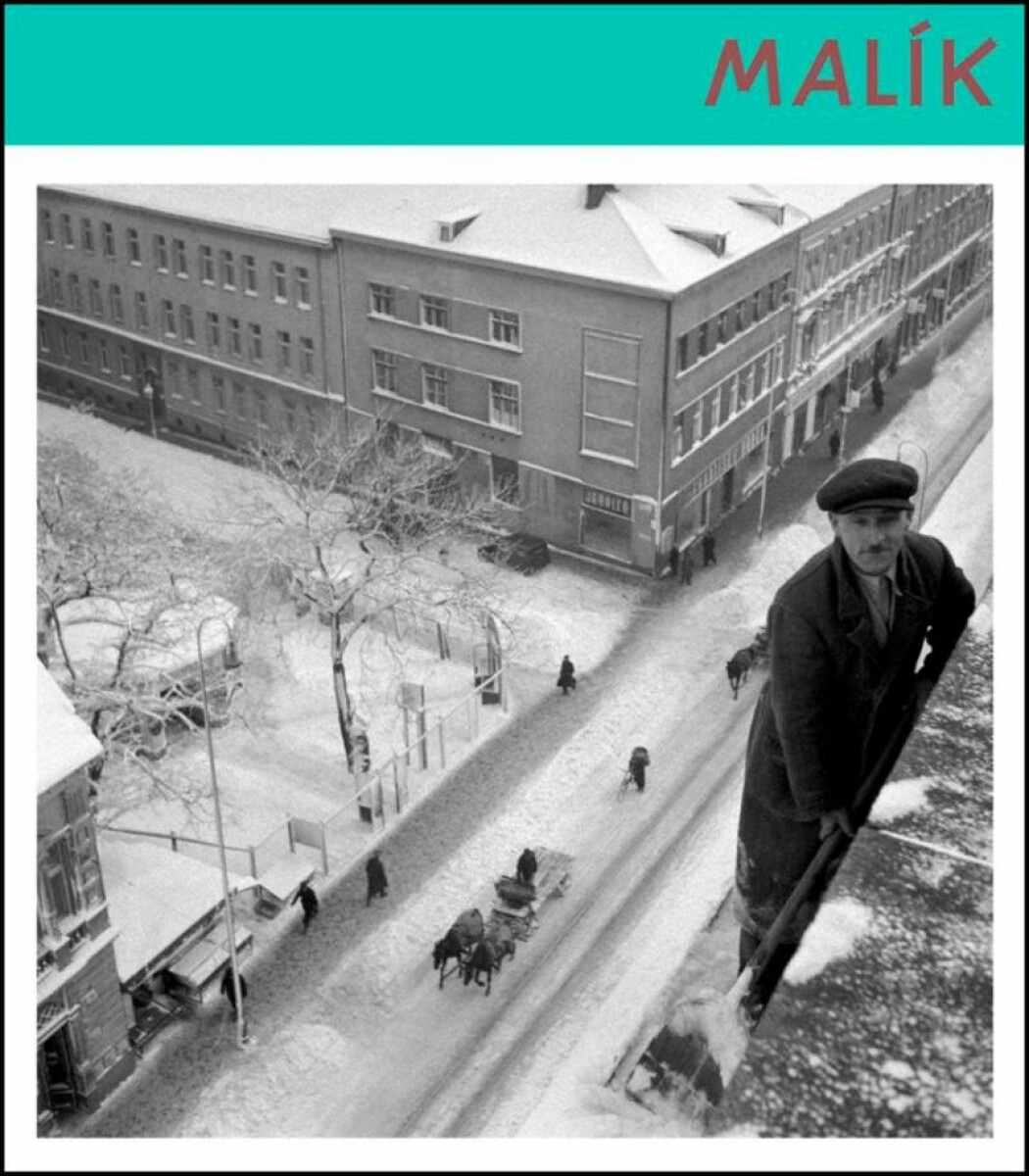 Kniha Malík Viliam (slovensky)