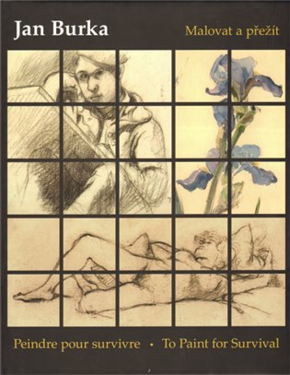 Kniha Malovat a přežít