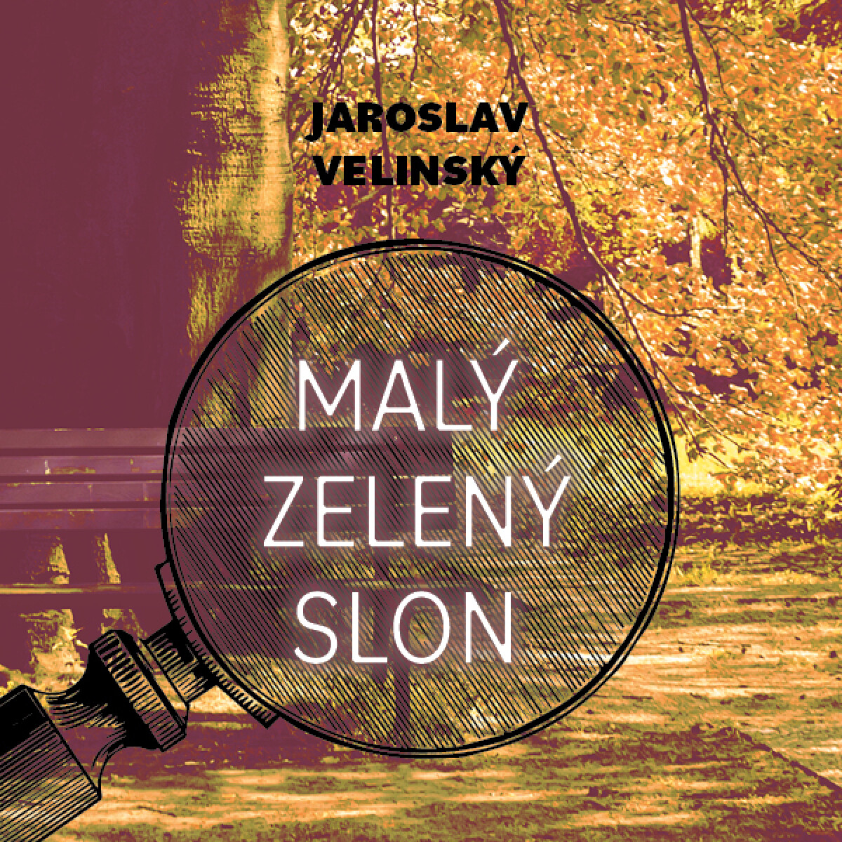 Levně Malý zelený slon - Jaroslav Velinský - audiokniha