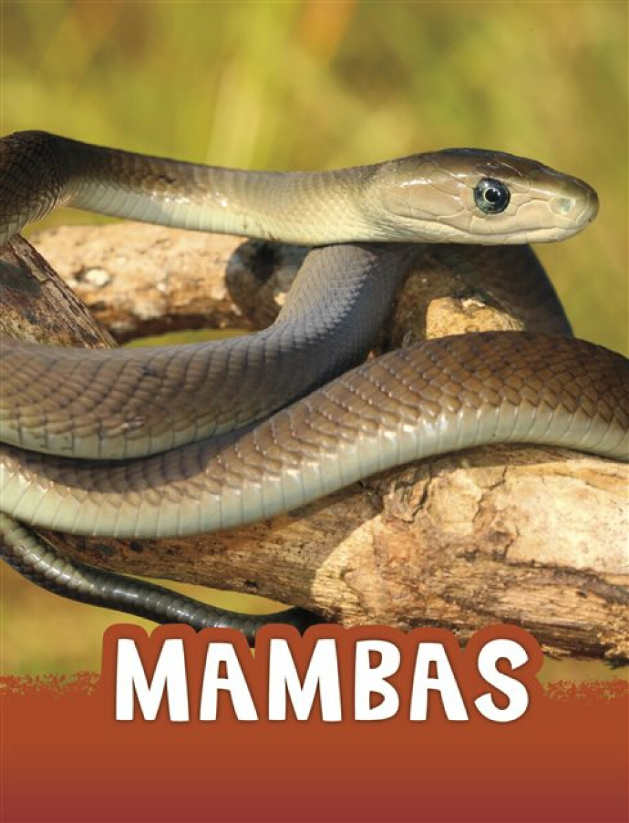 Kniha Mambas