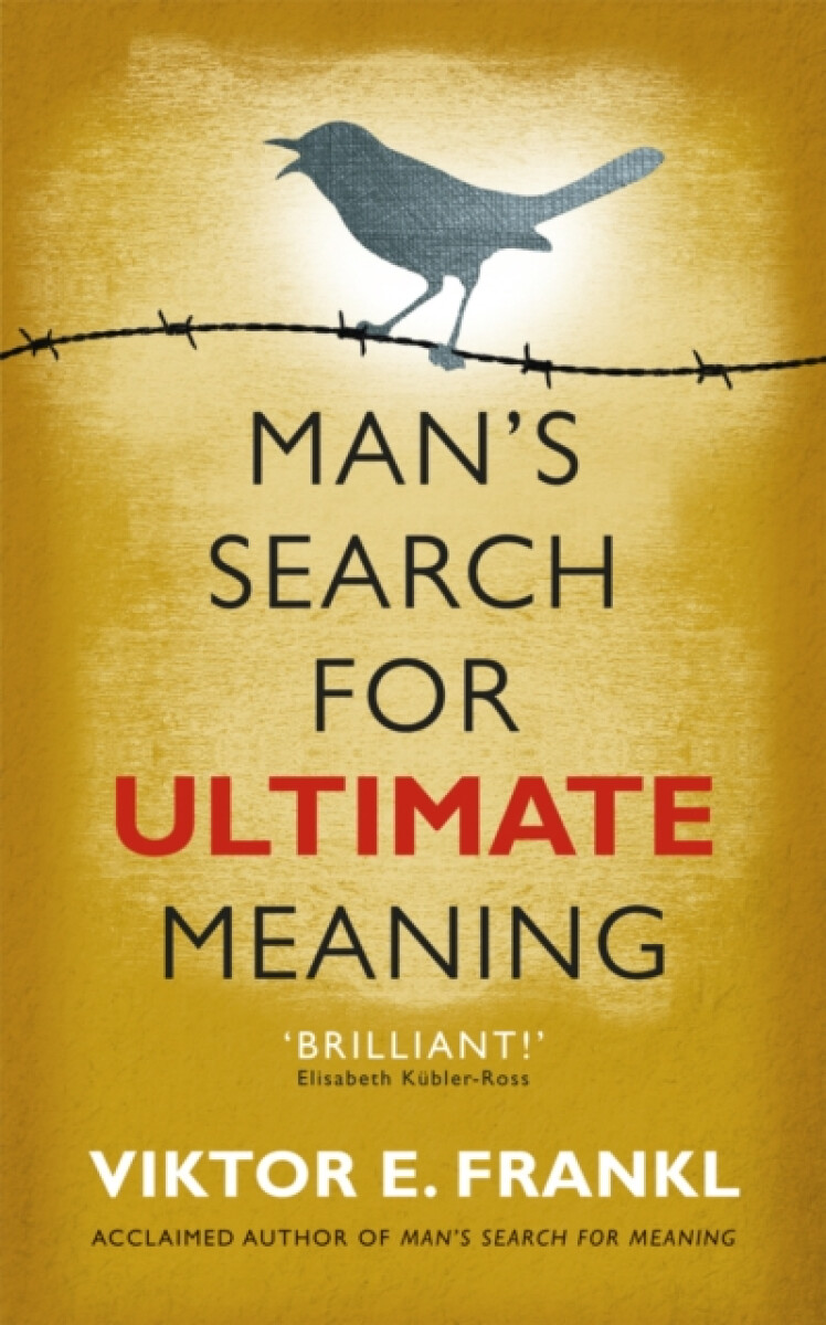 Kniha Man's Search for Ultimate Meaning