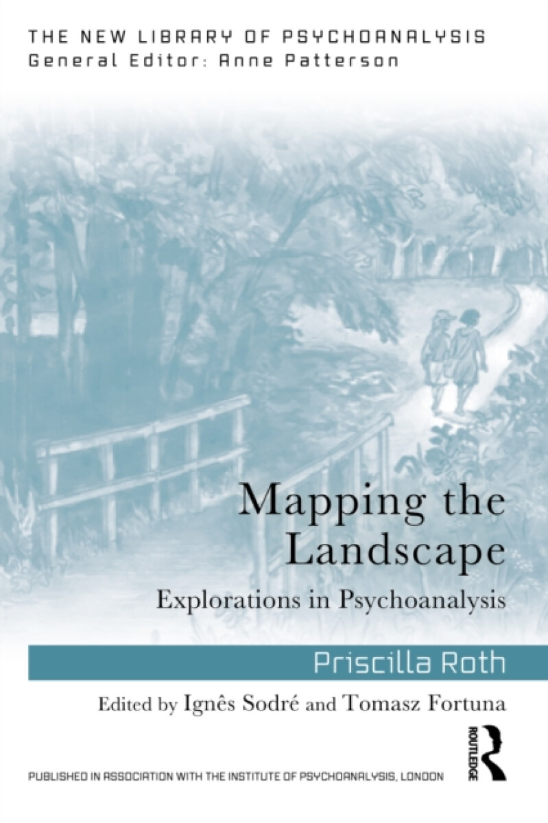 Kniha Mapping the Landscape