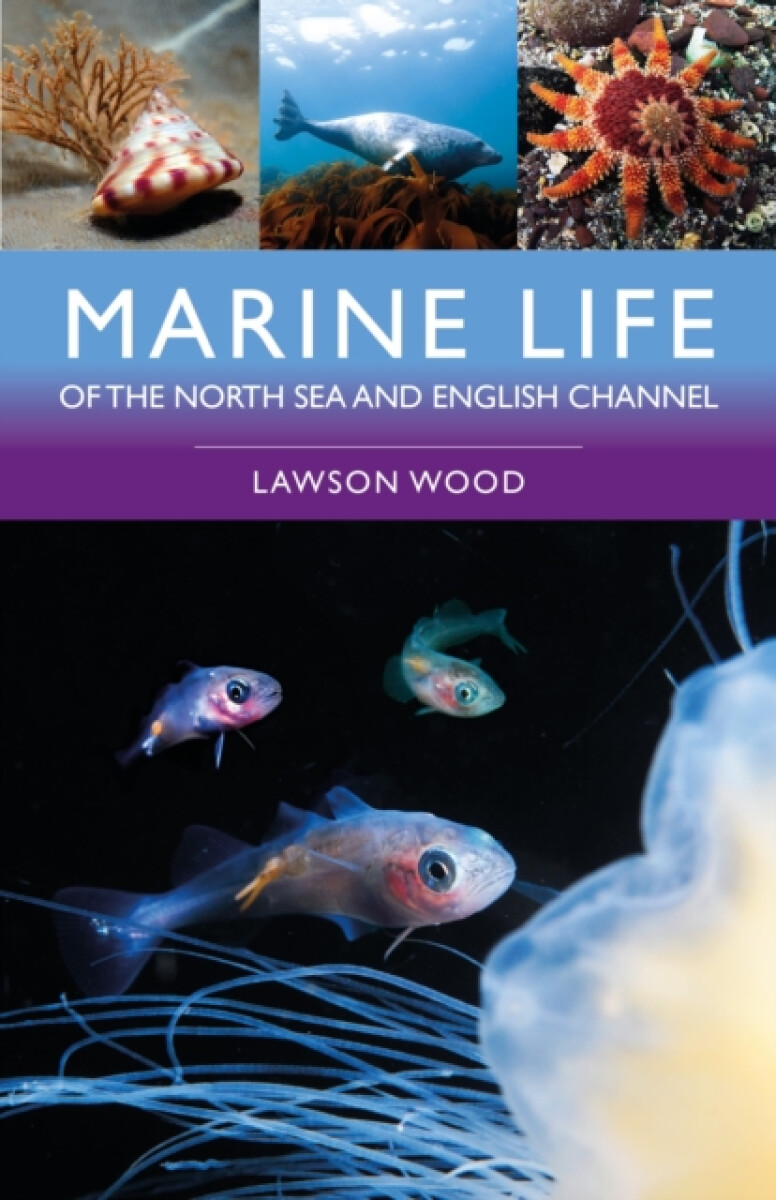 Kniha Marine Life of the North Sea and English Channel