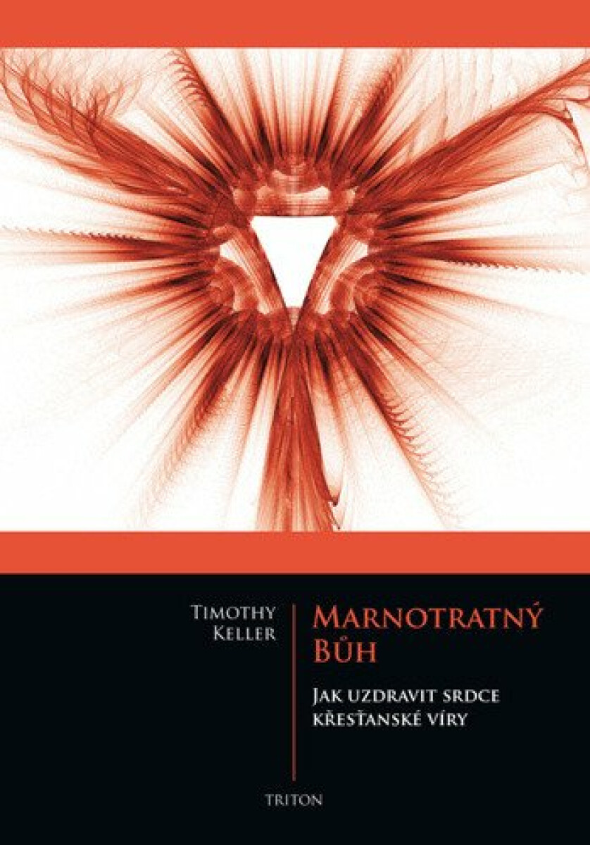 Kniha Marnotratný bůh. Jak uzdravit srdce křesťanské víry