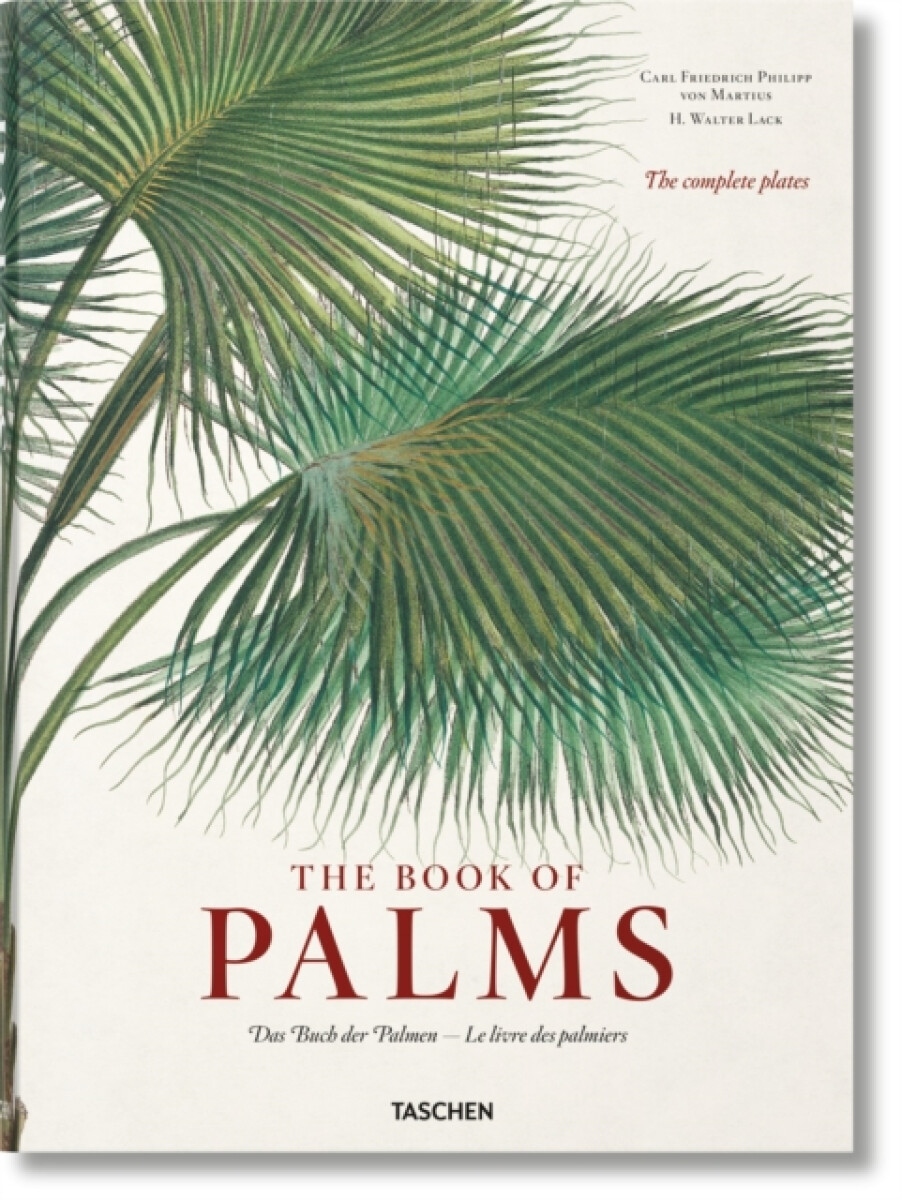 Kniha Martius. The Book of Palms