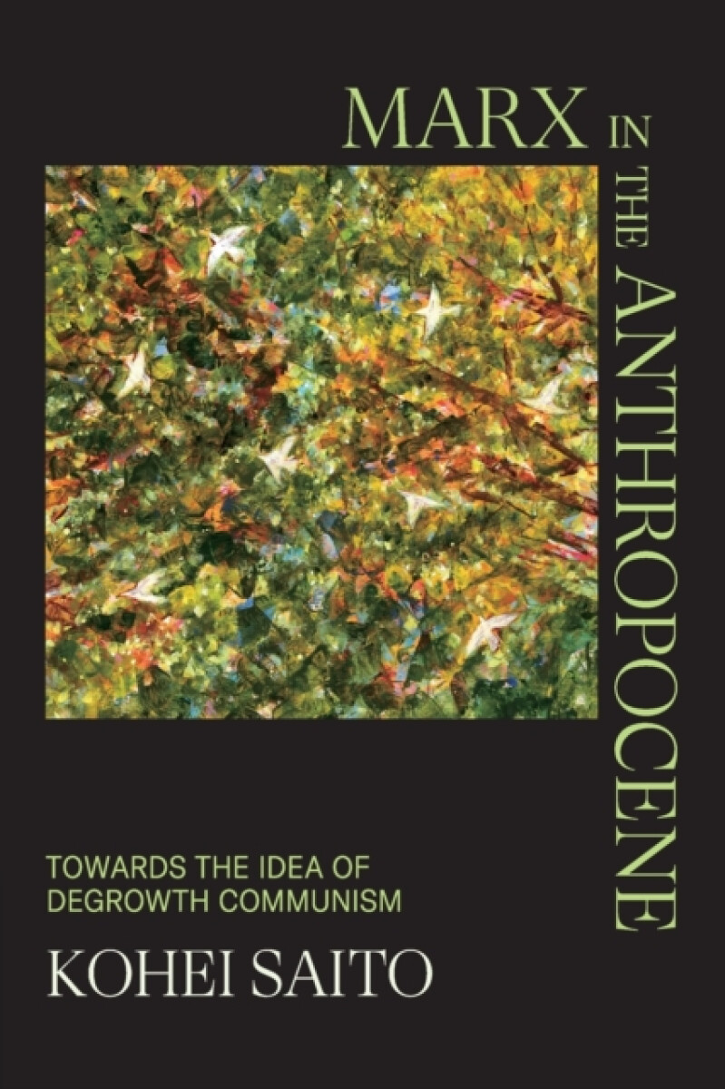 Kniha Marx in the Anthropocene