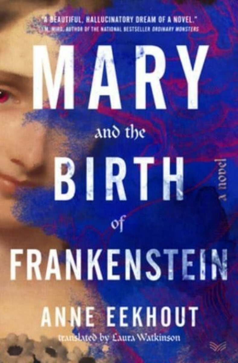 Kniha Mary and the Birth of Frankenstein