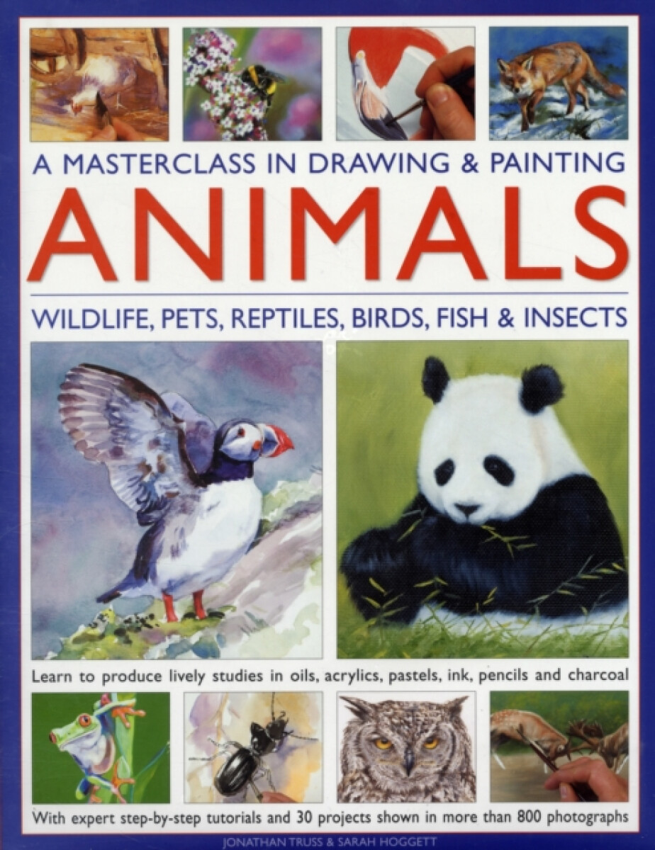 Kniha Masterclass in Drawing a Painting Animals