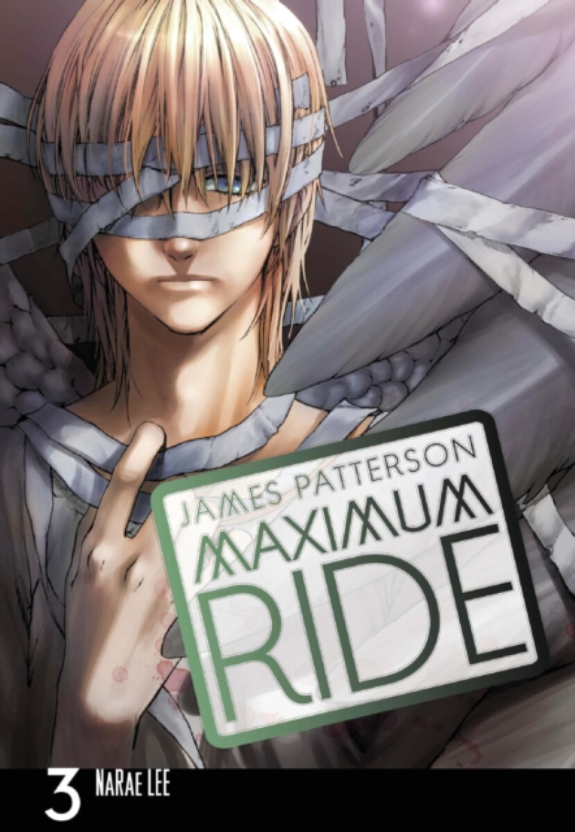 Kniha Maximum Ride Manga Volume 3