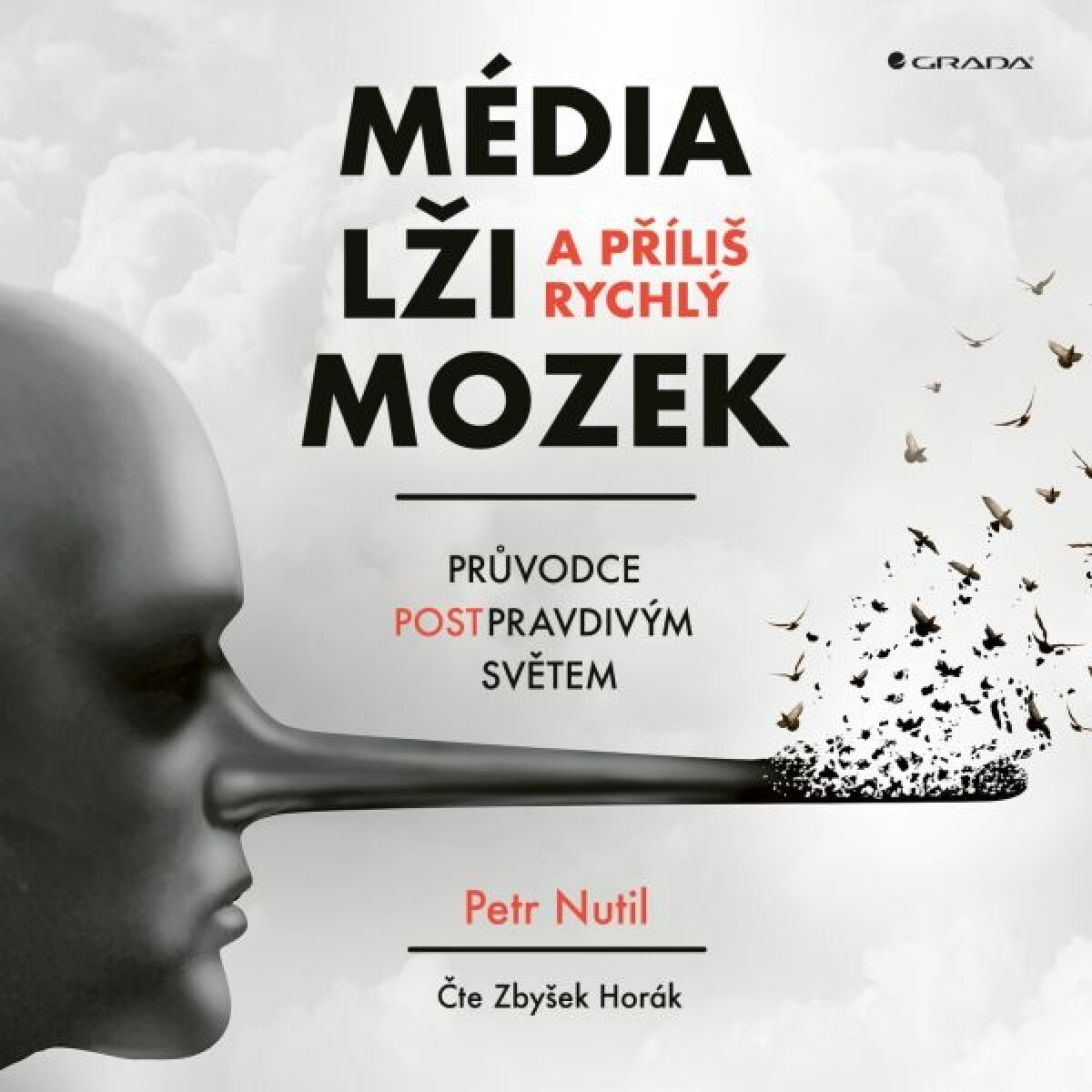 Média, lži a příliš rychlý mozek - Horák Zbyšek