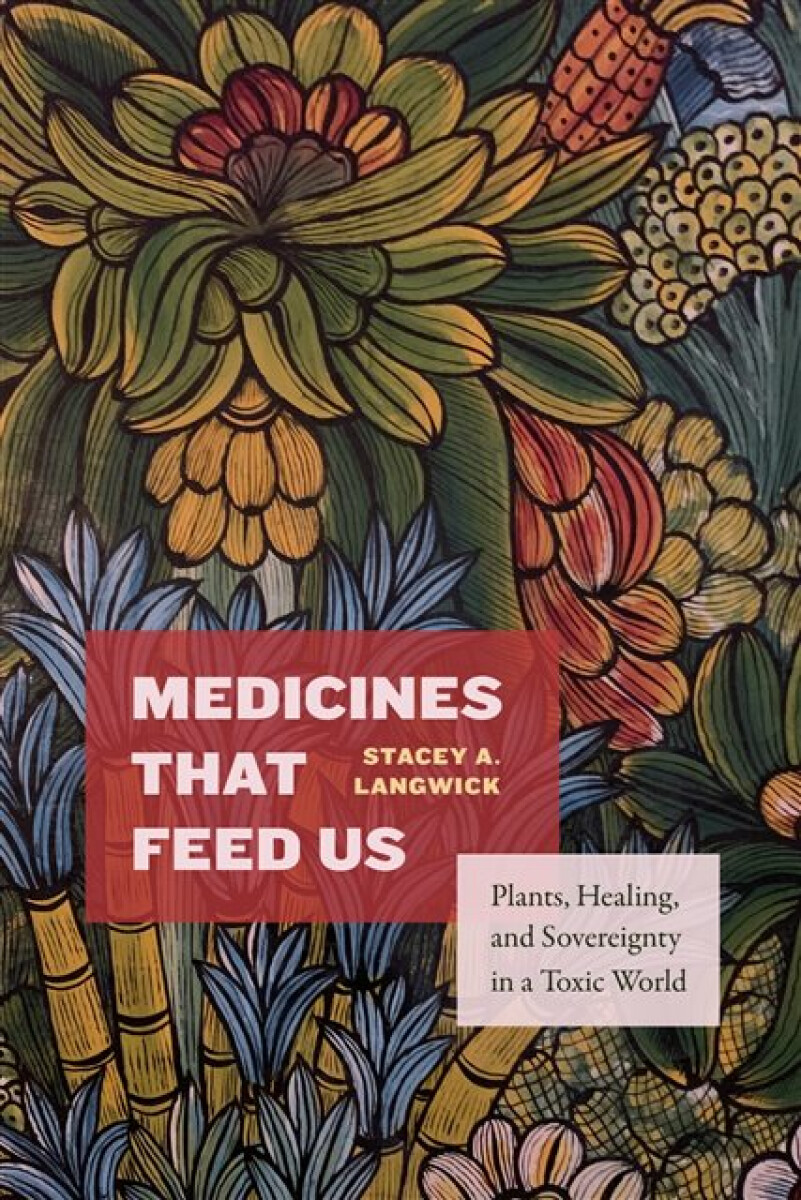 Kniha Medicines That Feed Us