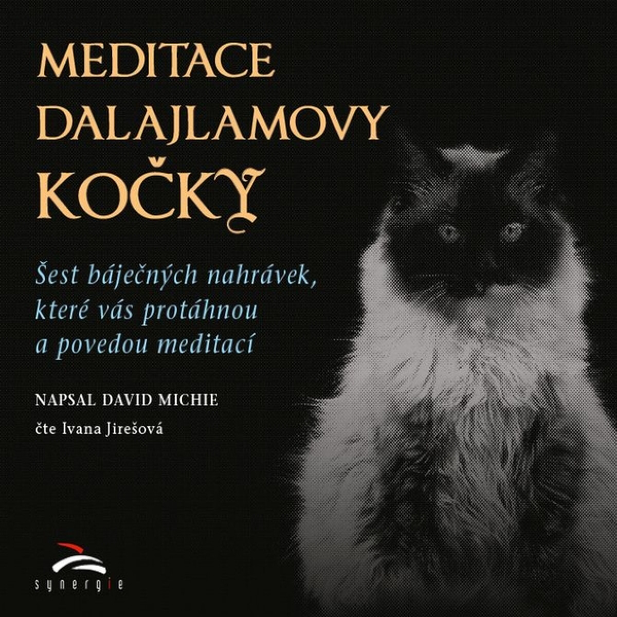 Meditace dalajlamovy kočky - David Michie