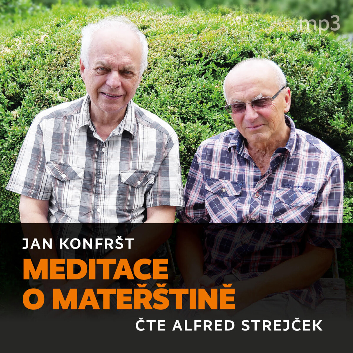 Meditace o mateřštině - Jan Konfršt