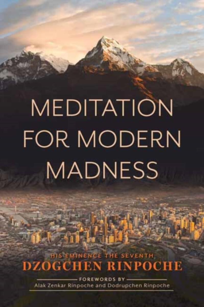 Kniha Meditation for Modern Madness