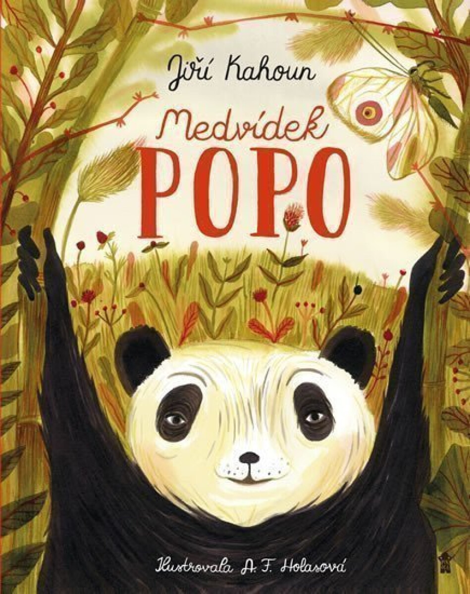 Kniha Medvídek Popo