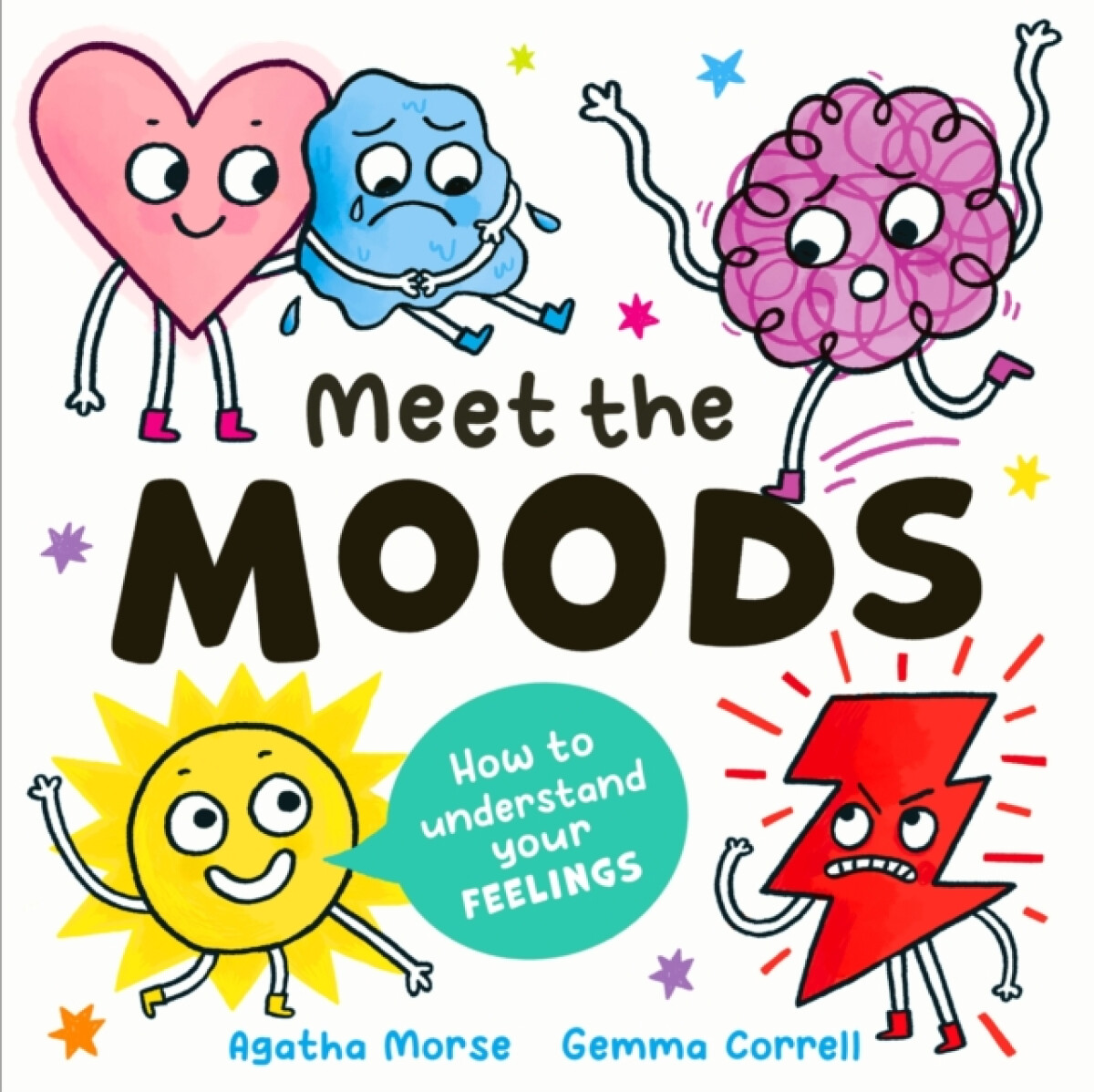 Kniha Meet the Moods