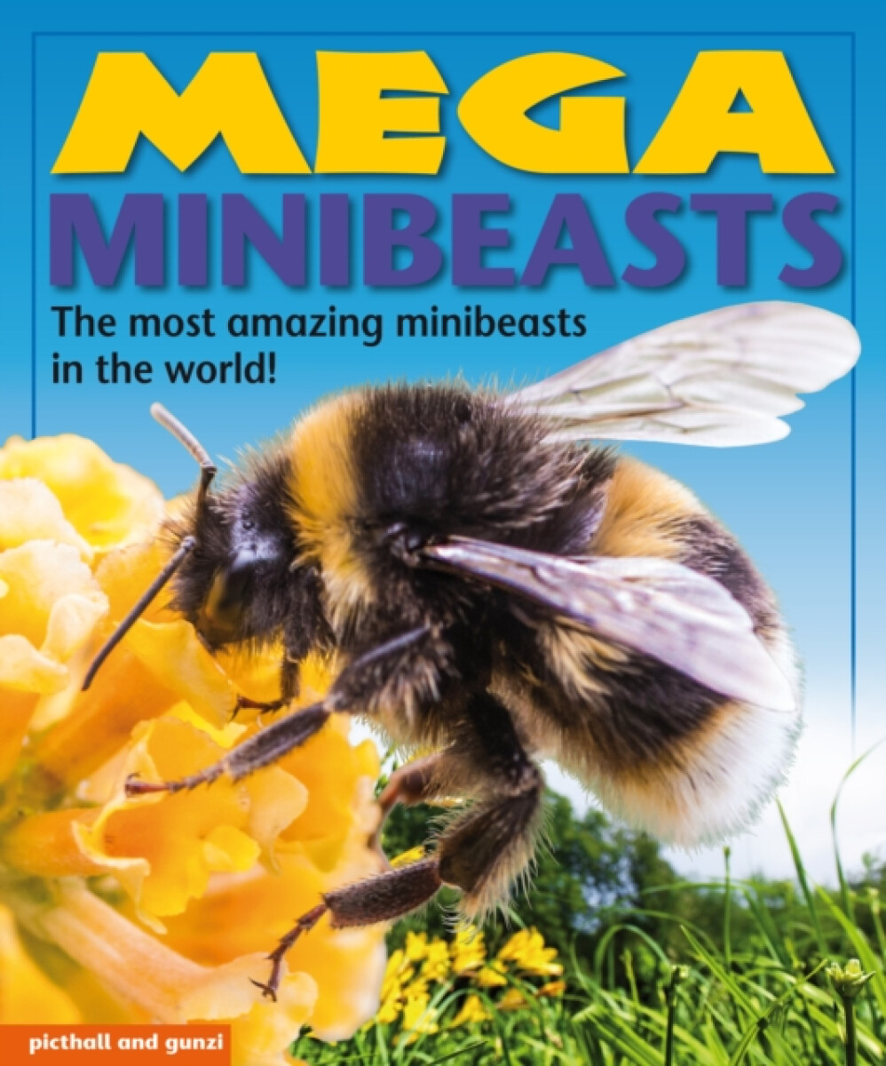 Kniha Mega Minibeasts