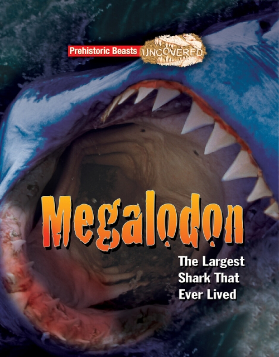 Kniha Megalodon