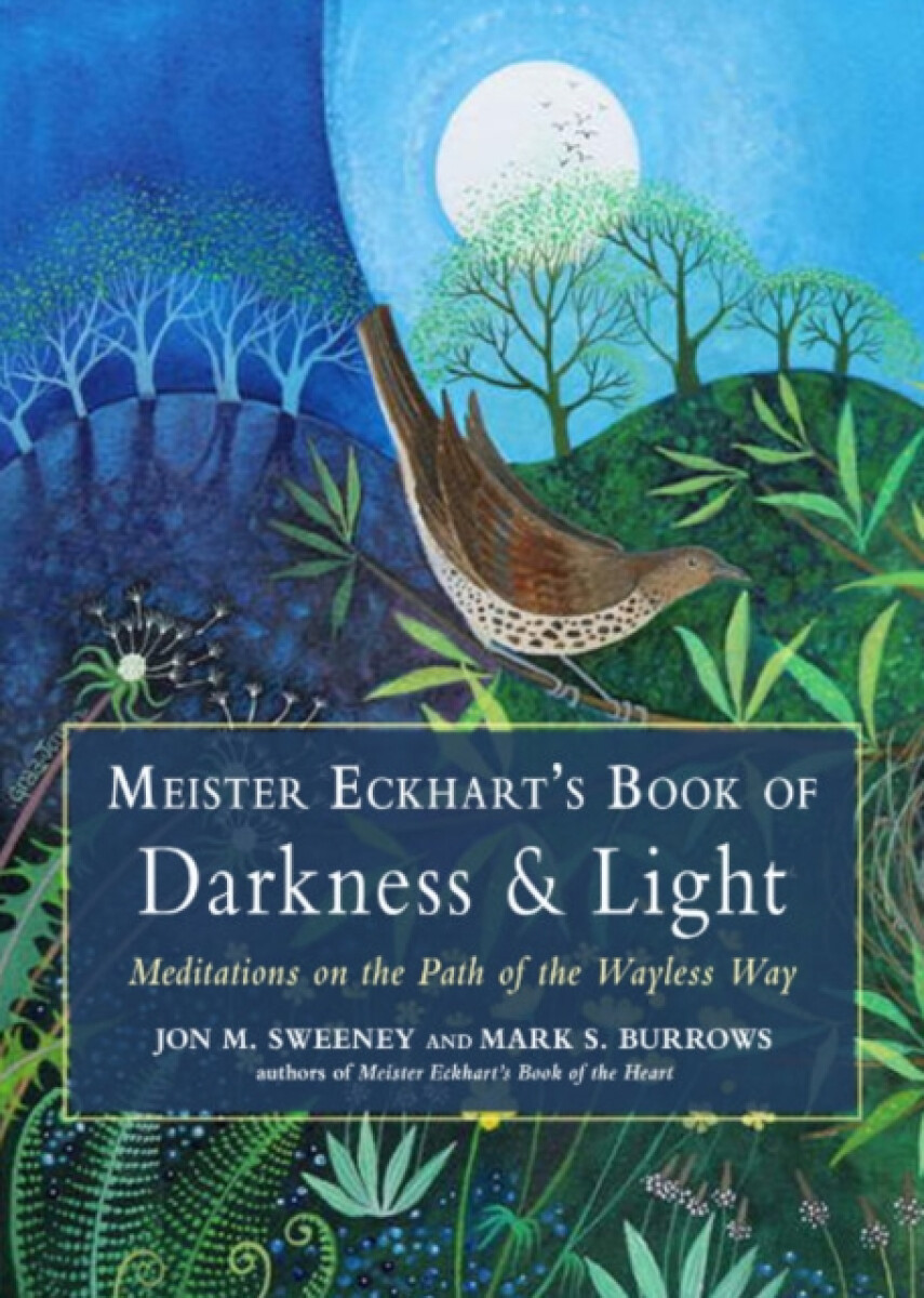 Kniha Meister Eckhart's Book of Darkness a Light