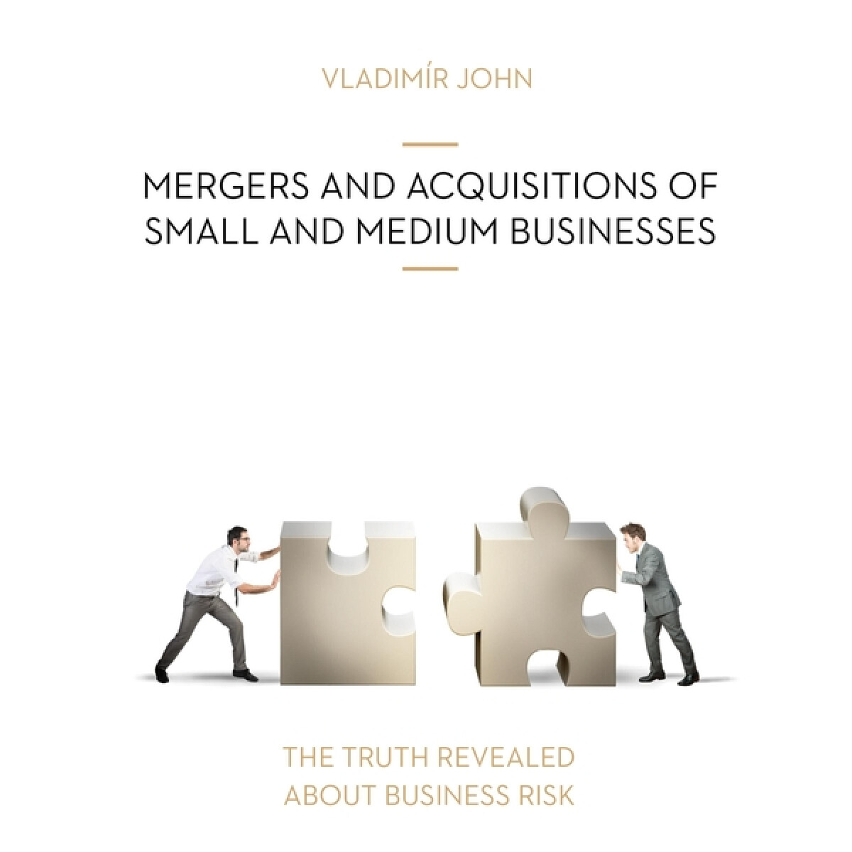 Levně MERGERS AND ACQUSITIONS OF SMALL AND MEDIUM BUSINESSES - Vladimír John - audiokniha