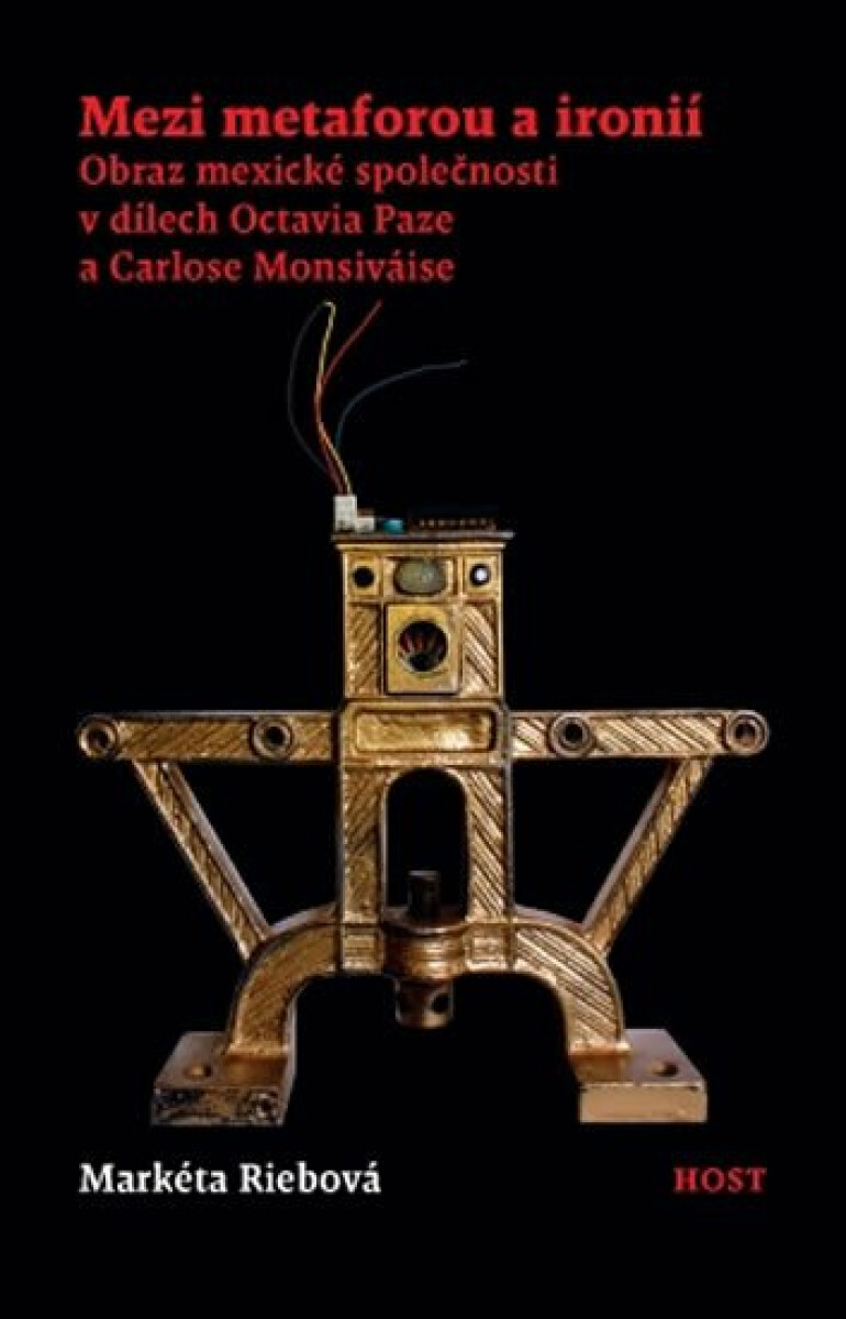 Kniha Mezi metaforou a ironií