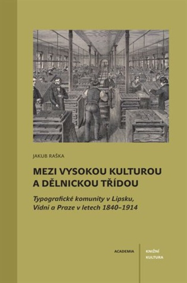 Kniha Mezi vysokou kulturou a dělnickou třídou