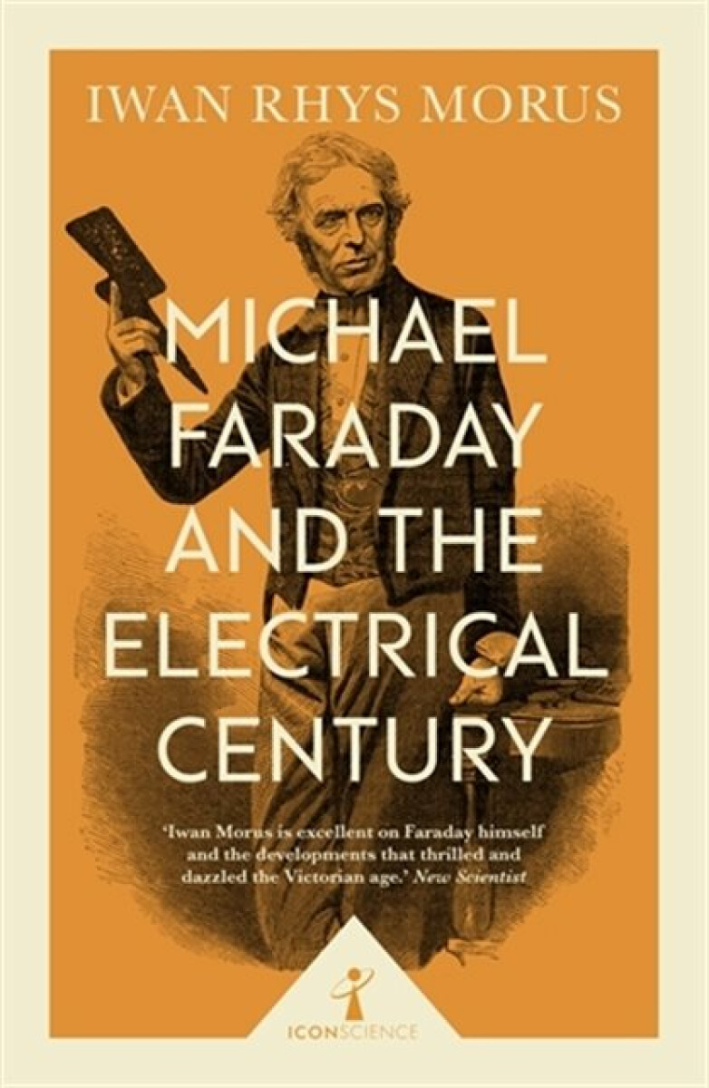Kniha Michael Faraday and the Electrical Century (Icon Science)