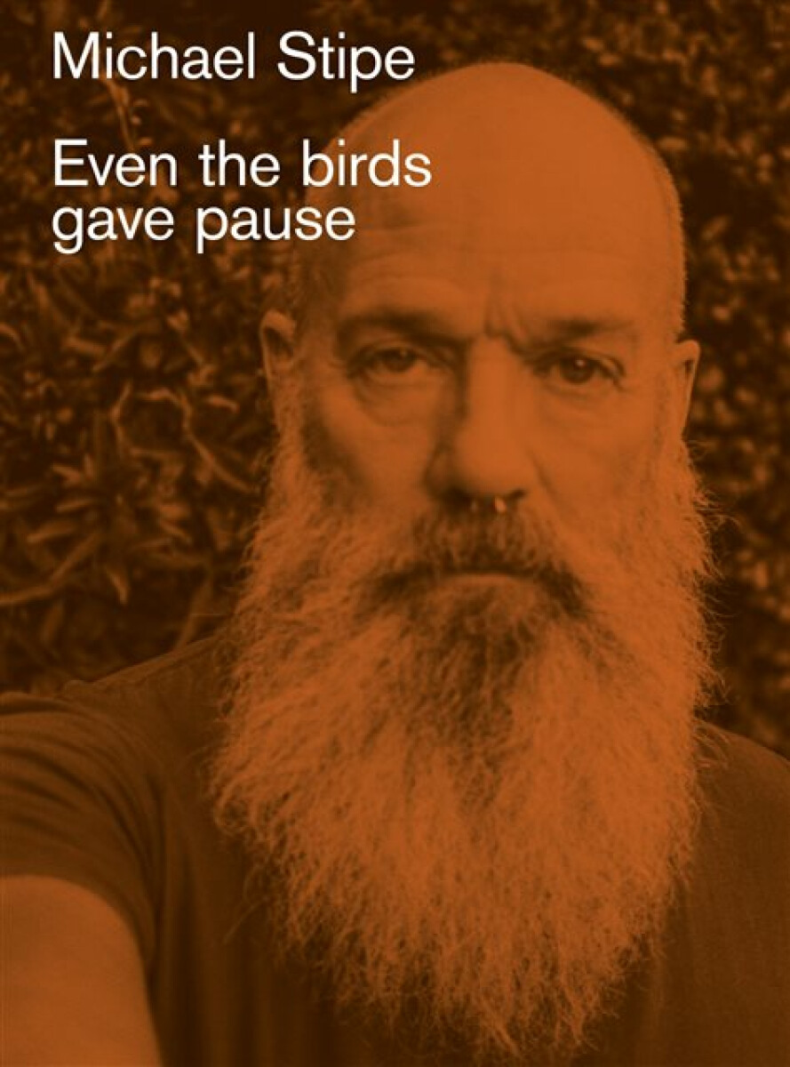 Kniha Michael Stipe: Even the birds gave pause