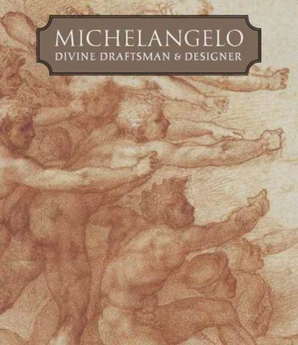 Kniha Michelangelo