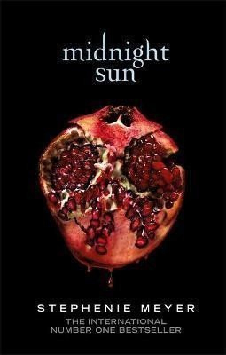 Kniha Midnight Sun