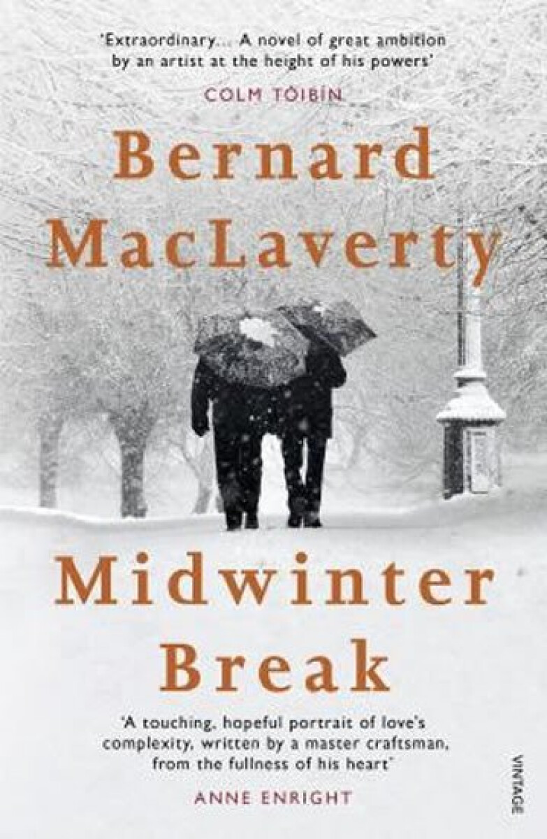 Kniha Midwinter Break